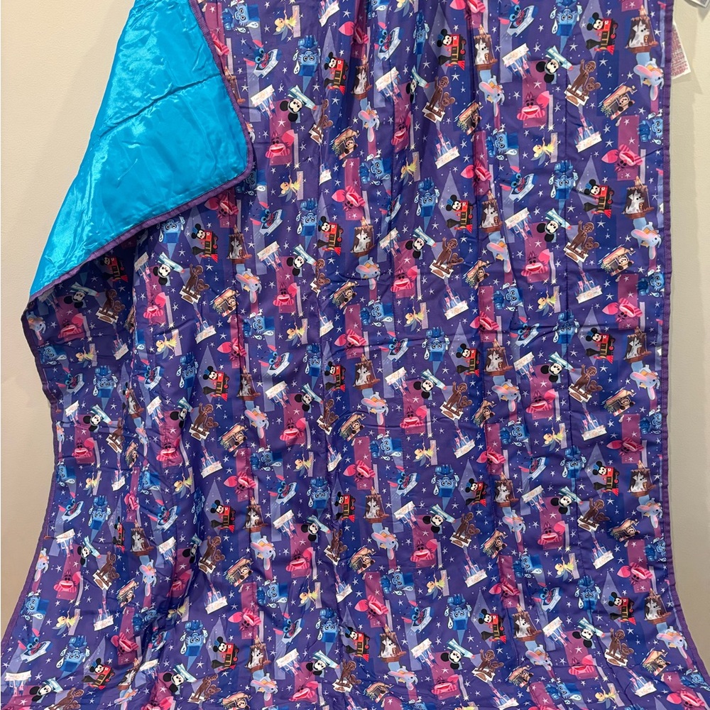 Disney Parks Joey Chou Reusable Picnic Blanket